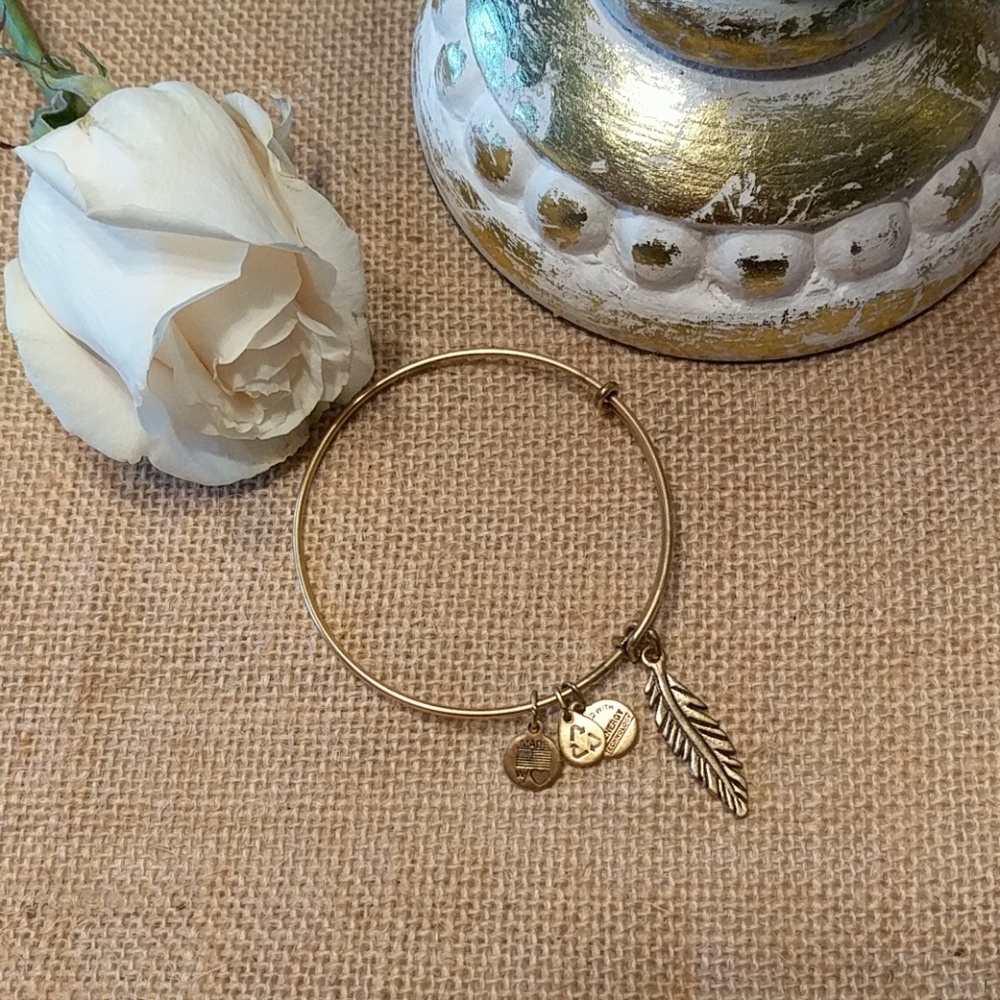 Alex and Ani bangle